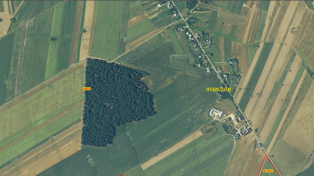 20 Ha Padure stejar la 10 km de Pitești – fotografia 3 din 3