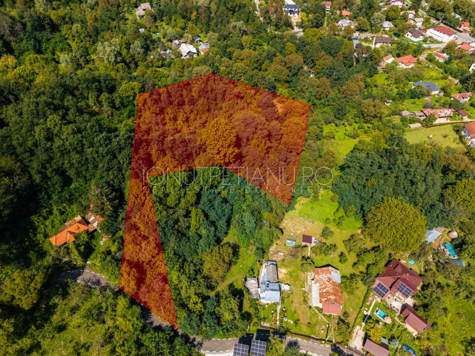 Teren 3.886 mp, Breaza - Podu Vadului, 30 m deschidere la asfalt – fotografia 4 din 16