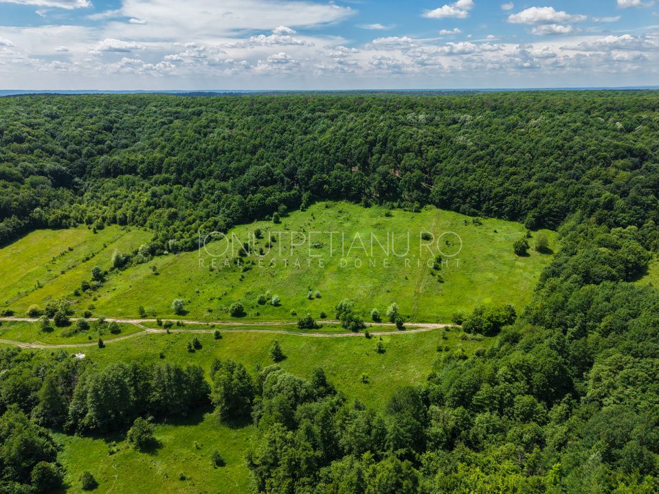Teren Pasune + Arabil - Valea Mare Podgoria Arges – fotografia 18 din 29