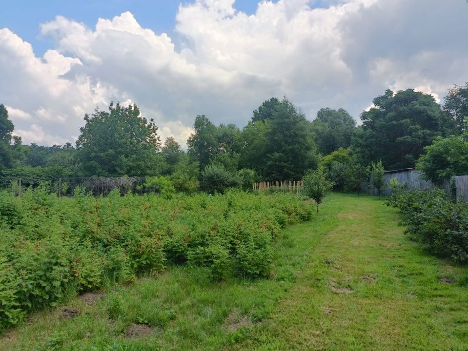 Casă de vânzare comuna Ibănești, jud. Mureș central, cu teren de 4500 mp – fotografia 26 din 26