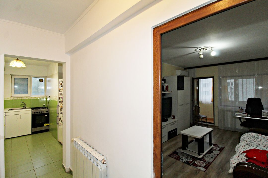Apartament 2 camere, langa City Mall, vedere spre Parcul Tabacariei – fotografia 10 din 10