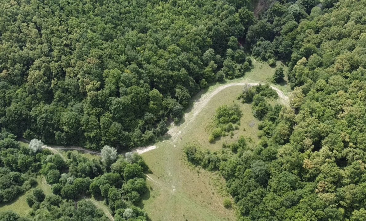 🌳 OPORTUNITATEA RARĂ DE INVESTIȚIE- PĂDURE DE VÂNZARE 38,24 HA- MINTIU – fotografia 3 din 4