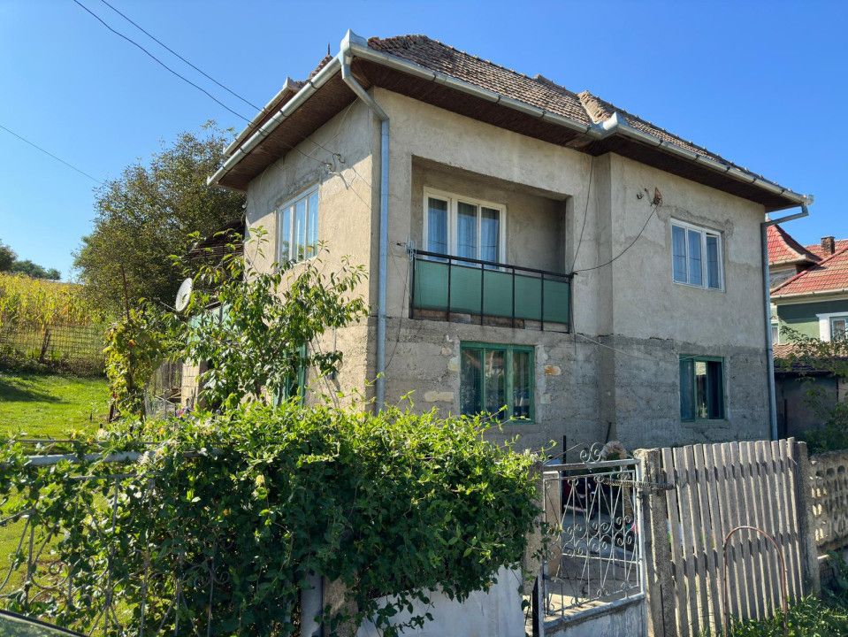 Casa Individuala 170 Mp In Visea cu teren de 2000mp – fotografia 1 din 8