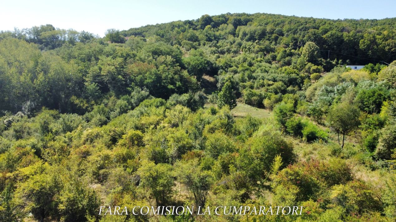 TEREN LANGA ORAS, CADRU NATURAL MINUNAT – fotografia 7 din 14