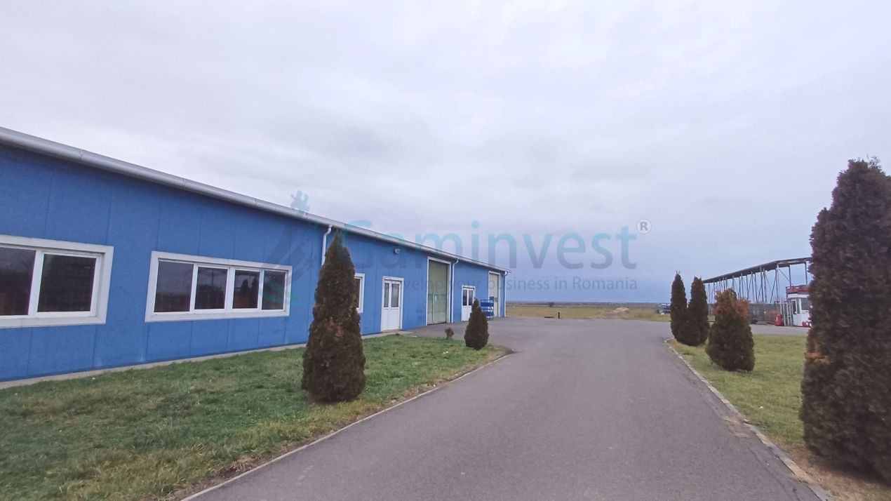 Spatiu industrial de vanzare in Biharia, hala 1200 mp si 23772 mp teren – fotografia 2 din 17
