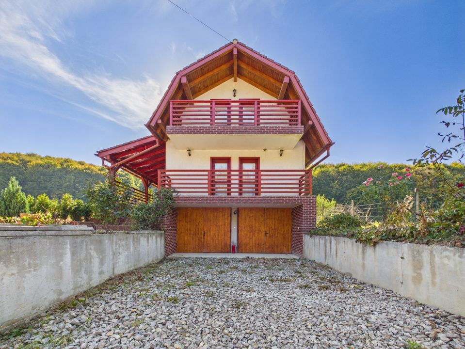 Cabana Valea Dobarlaului, 2 garaje, 4648mp teren – fotografia 1 din 33