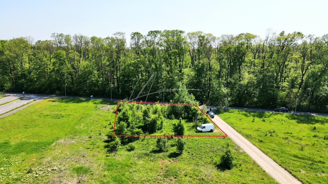 Teren intravilan, 2 fronturi, Drumul Padurea Pustnicu 65 - Greenfield – fotografia 7 din 43