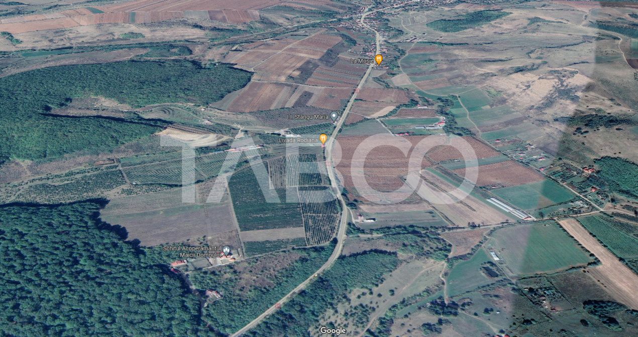 Teren extravilan de 4991 mp la strada principala in Sura Mare – fotografia 2 din 3