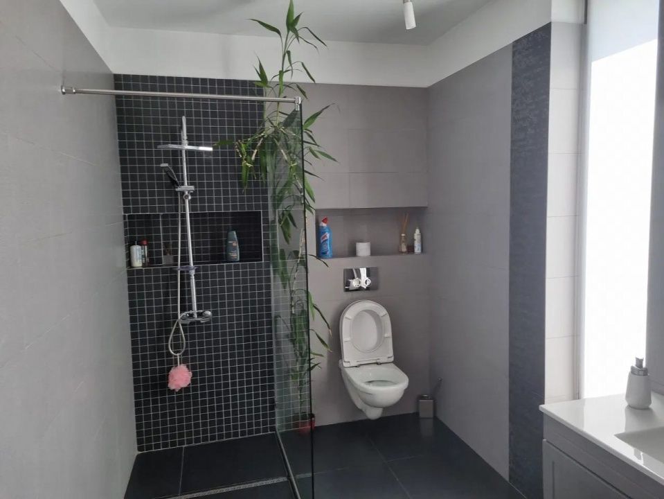 Casa deosebita, utilata mobilata, Faget, 311mp utili – fotografia 7 din 7