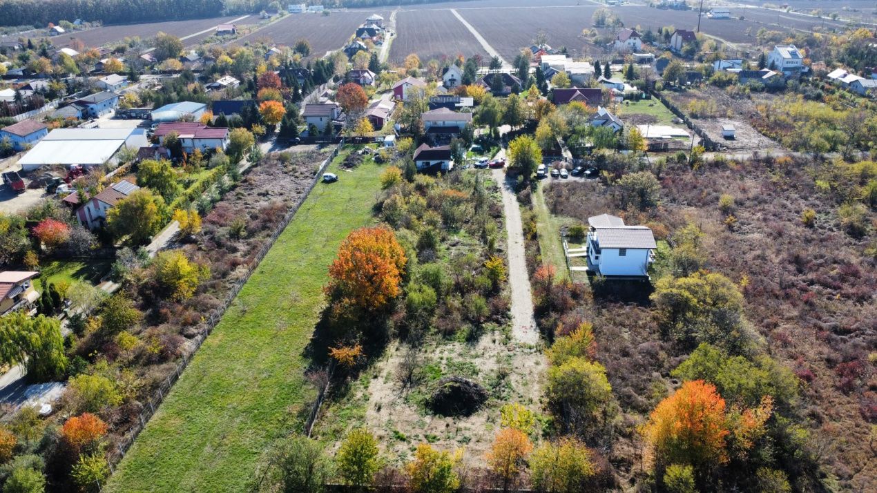 Lot de 650mp de vanzare in Vladiceasca, intrare DN1 - Snagov Plaza – fotografia 11 din 16