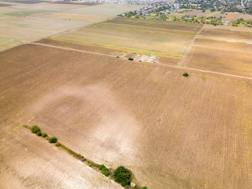 DASCALU – TEREN INTRAVILAN 11300 MP, INVESTITIE! – fotografia 16 din 18