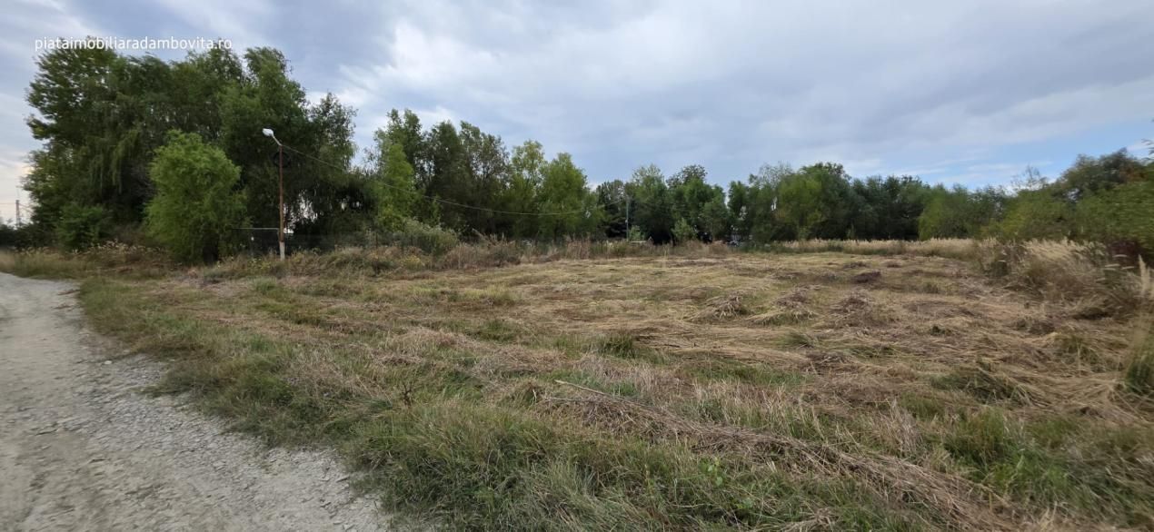Teren intravilan 1.589 mp în Priseaca – Lângă Complex Daso Cado | Oportunitate – fotografia 1 din 2