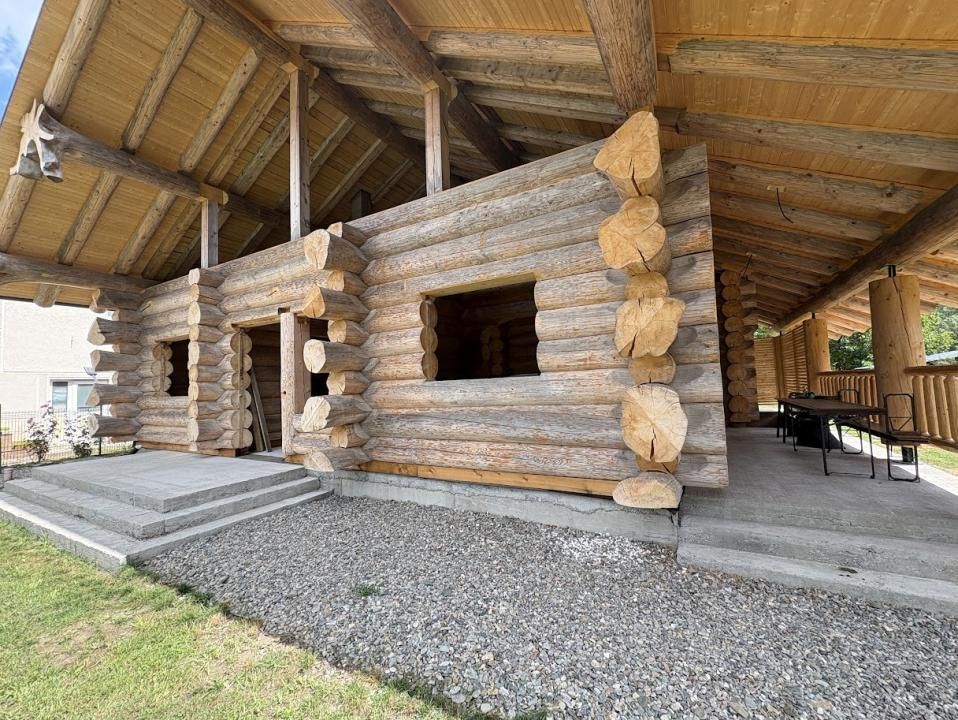 PROPRIETATE PREMIUM | TRANSFĂGĂRĂȘAN | ACCES DIRECT LA RÂUL ARGEȘ – fotografia 3 din 10