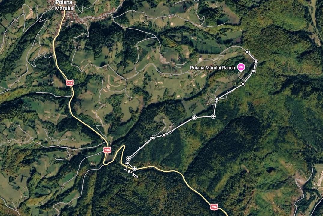 De vânzare teren de 4000 mp cu potențial în Poiana Mărului – fotografia 5 din 5