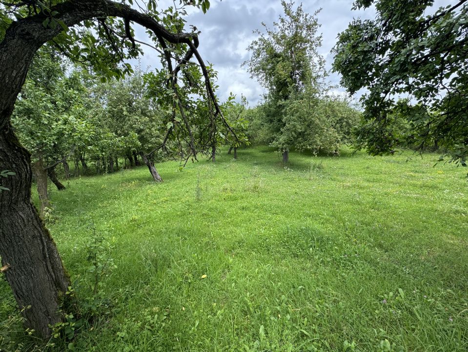 🏡 Teren intravilan | 22Ari. |  Budacu de Sus, la doar 17 km de Bistrița! 🌳 – fotografia 2 din 4