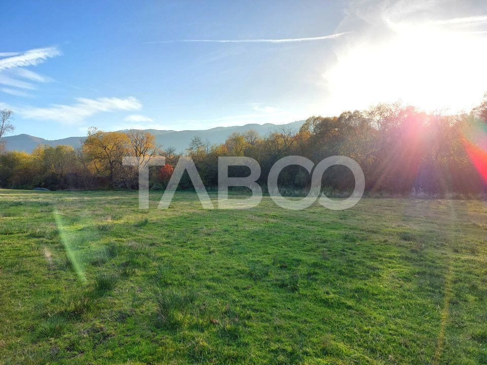 Teren de vanzare 17.000 mp in vecinatatea padurii Dumbrava – fotografia 2 din 2