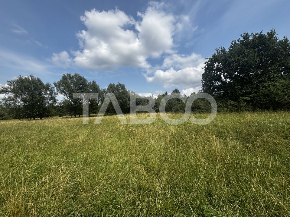 Teren intravilan de 3100mp in zona Tocile Cisnadie Sibiu – fotografia 4 din 4