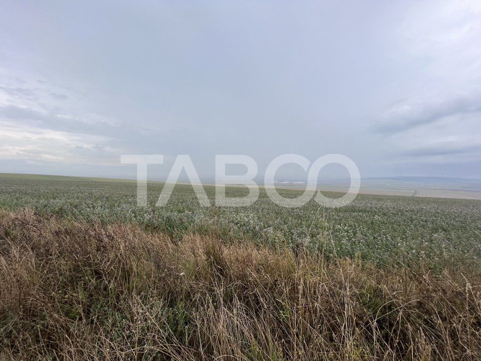 Teren de vanzare 30000 mp   60 ml deschidere Sura Mare Sibiu – fotografia 4 din 4