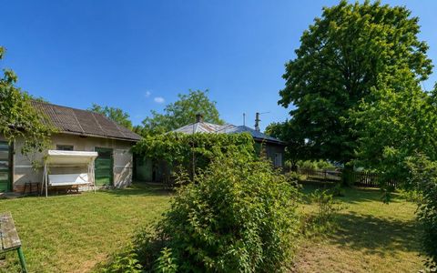 Casa batraneasca de vanzare in Obedeni, jud. Giurgiu – teren intravilan 2.500mp