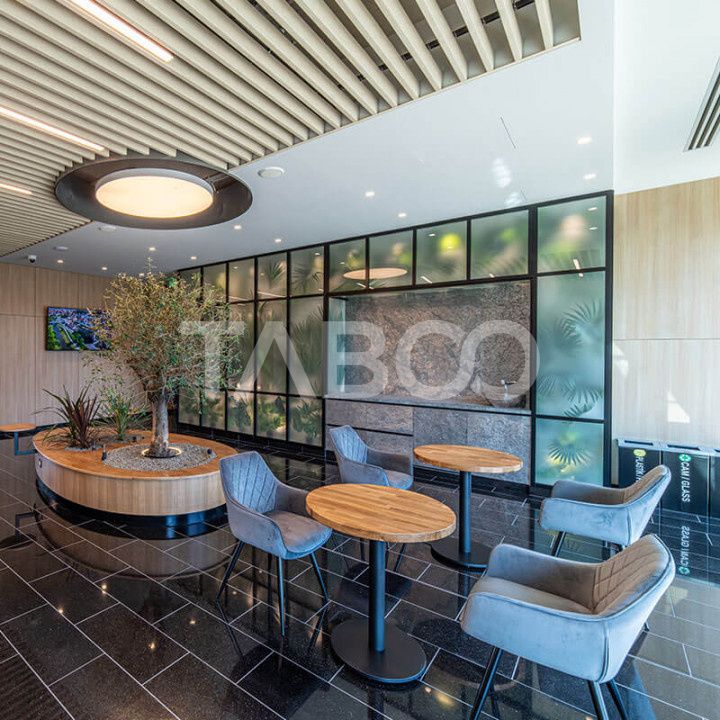 Birouri premium in Sibiu–Spatii flexibile moderne pentru companii – fotografia 17 din 17