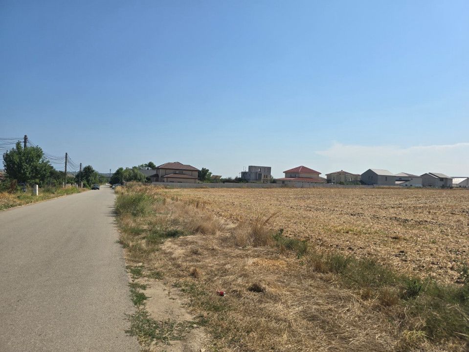 Teren de vanzare in Lazu – fotografia 5 din 9