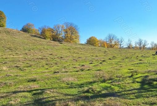 Vand Teren in Curtea de Arges suprafata 5000mp – fotografia 4 din 4
