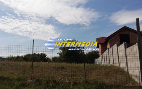 Teren intravilan de vanzare 600 mp in Oarda