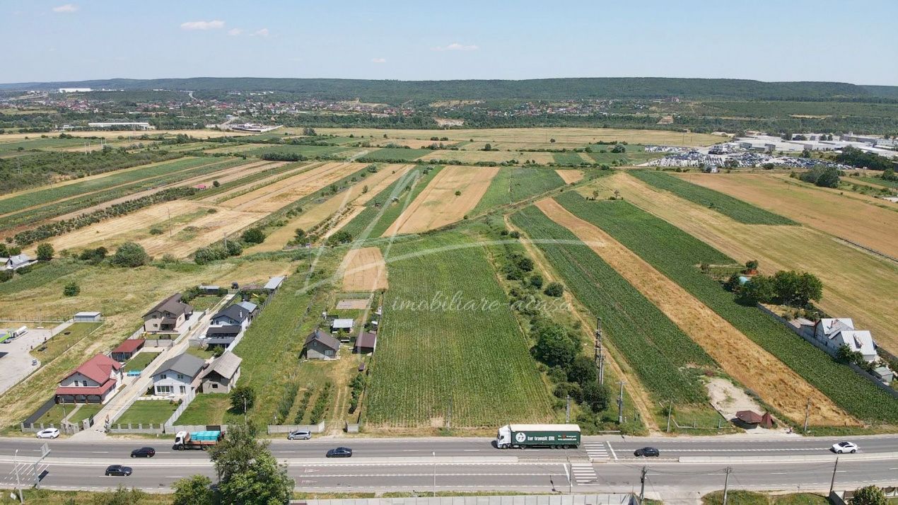 Teren cu potențial de dezvoltare –7427 mp în Argeșelu, Mărăcineni, județul Arges – fotografia 6 din 11