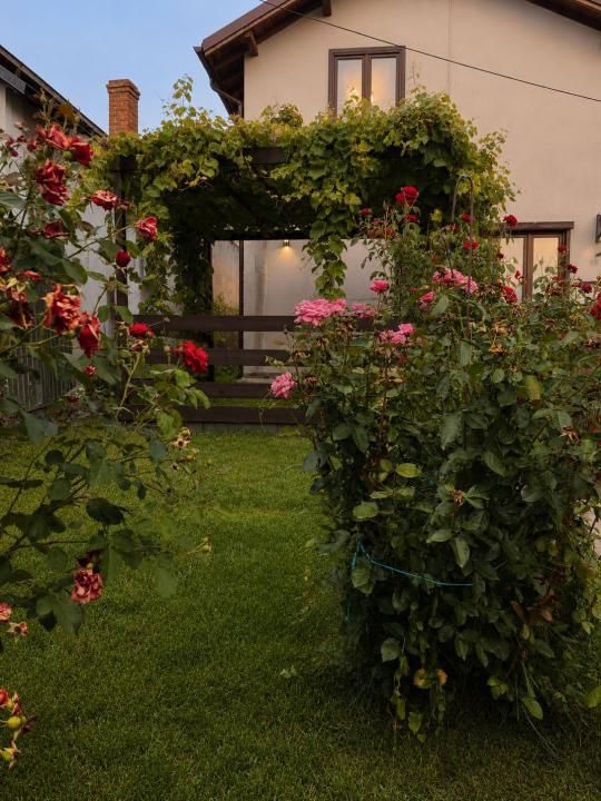 Casa la rosu - 25 km pana in Bucuresti - living 36mp – fotografia 3 din 12