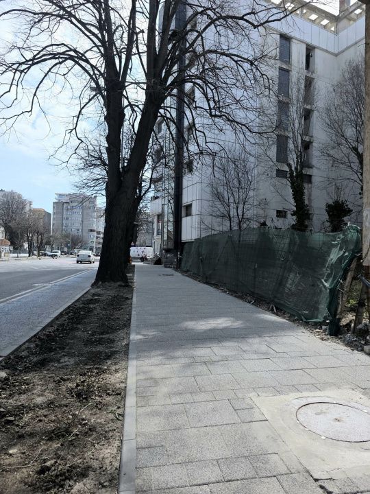 Teren 739 mp cu vizibilitate excelentă la Bulevardul Mamaia – fotografia 2 din 8