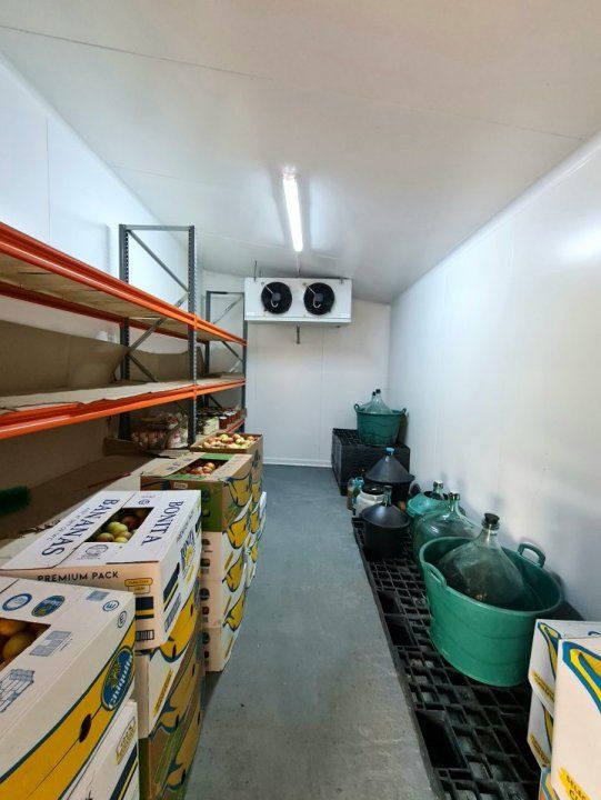 Vila + Afacere 15.000mp Clinceni – fotografia 9 din 31