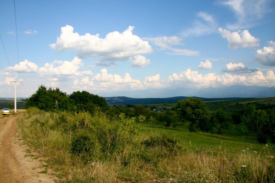 Teren extravilan de vânzare | 600 mp | Daia Nouă – fotografia 2 din 4