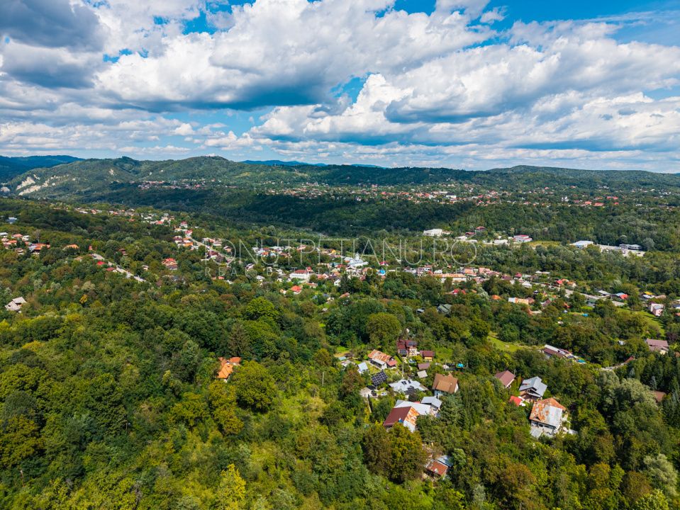 Teren 3.886 mp, Breaza - Podu Vadului, 30 m deschidere la asfalt – fotografia 9 din 16