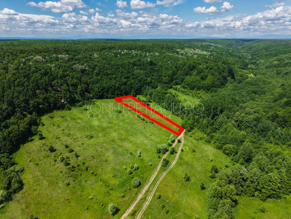 Teren Pasune + Arabil - Valea Mare Podgoria Arges – fotografia 8 din 29