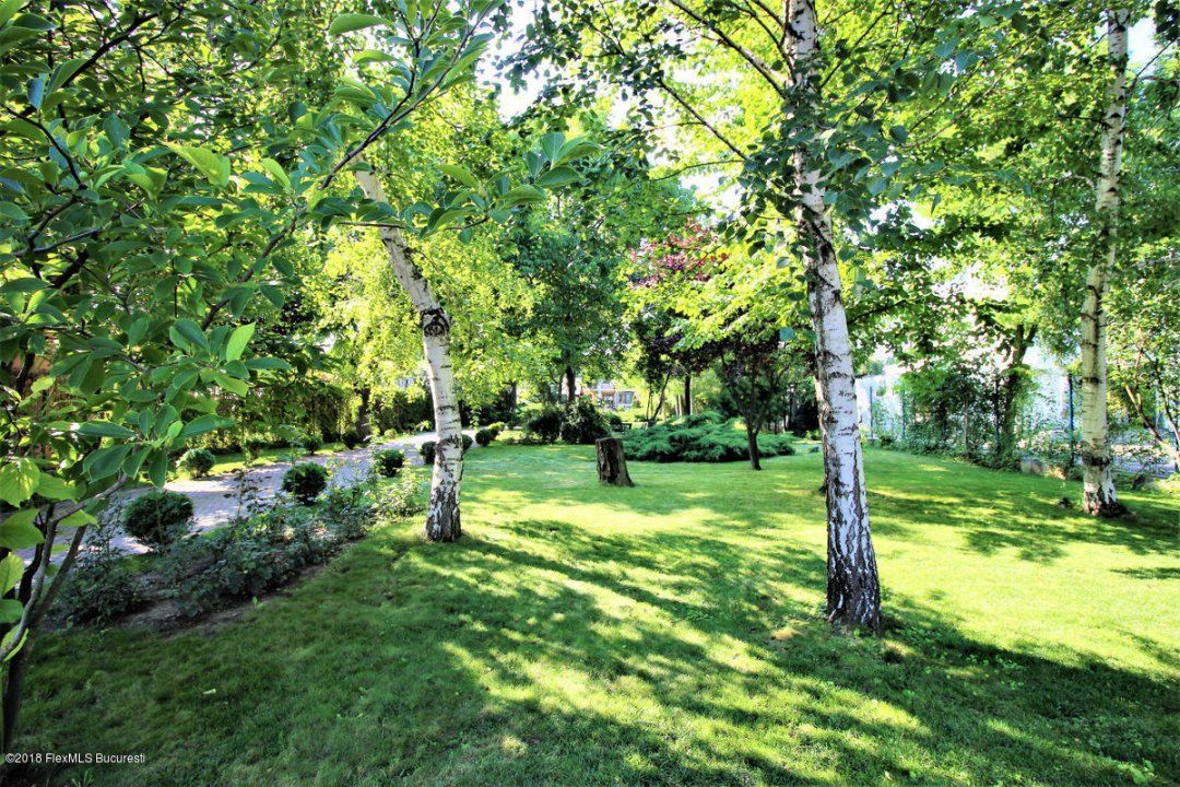 Vila exclusivistă – Buftea – Oportunitate unică! – fotografia 6 din 38