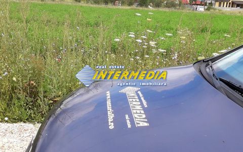 Teren intravilan de vanzare in zona Oarda 2320 mp