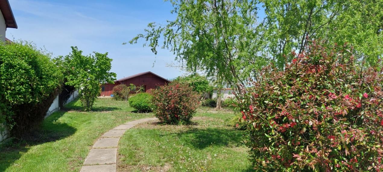 Casă de vacanță sau locuință permanentă, teren 2649 mp, Snagov - Ciofliceni – fotografia 5 din 34