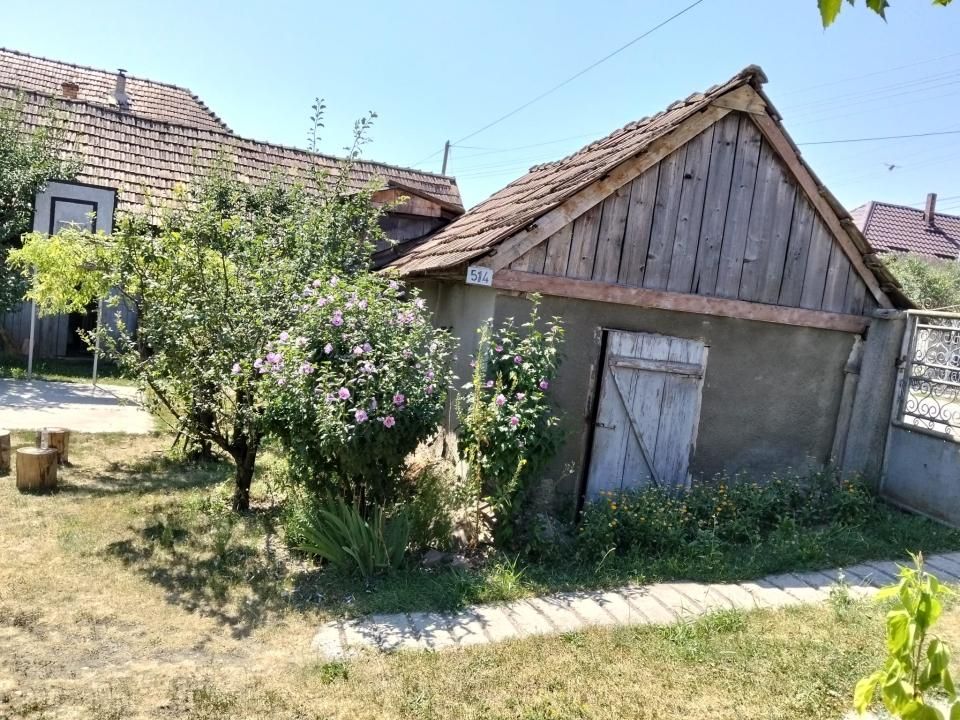 Casă 60 mp utili, teren 1.400 mp | Borșa (Răscruci), Cluj – fotografia 16 din 16