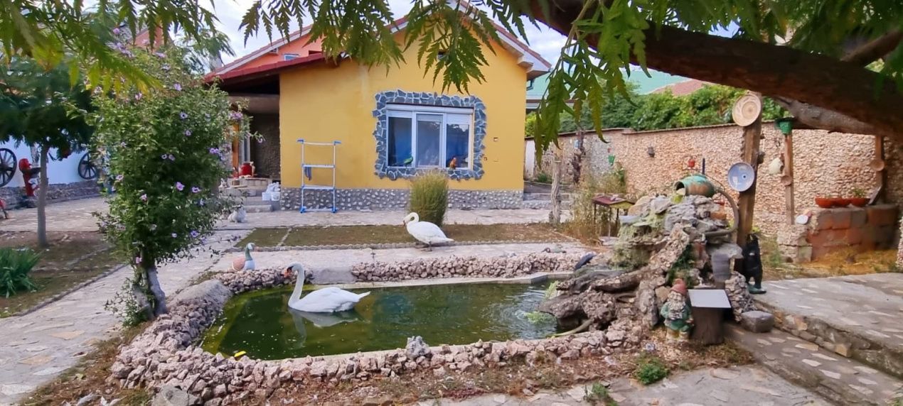 Casă parter cu teren de 1400 mp în Bariera Vâlcii aproape de drumul expres – fotografia 8 din 24