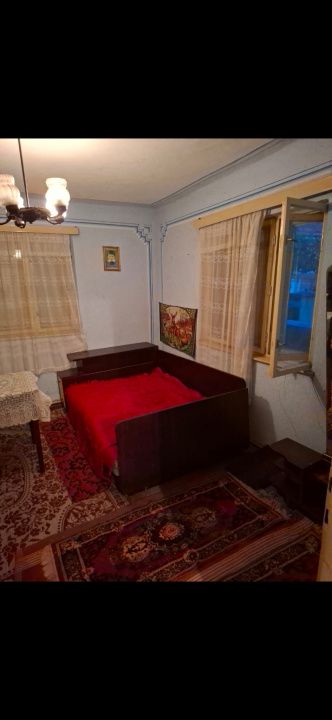 Casă în Cricău cu 1.375 mp teren, anexe, utilități, vie și livadă - Oportunitate – fotografia 6 din 54