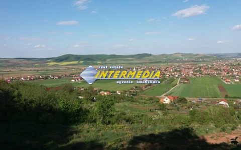 Teren intravilan de vanzare 4000 mp zona Alba Micesti