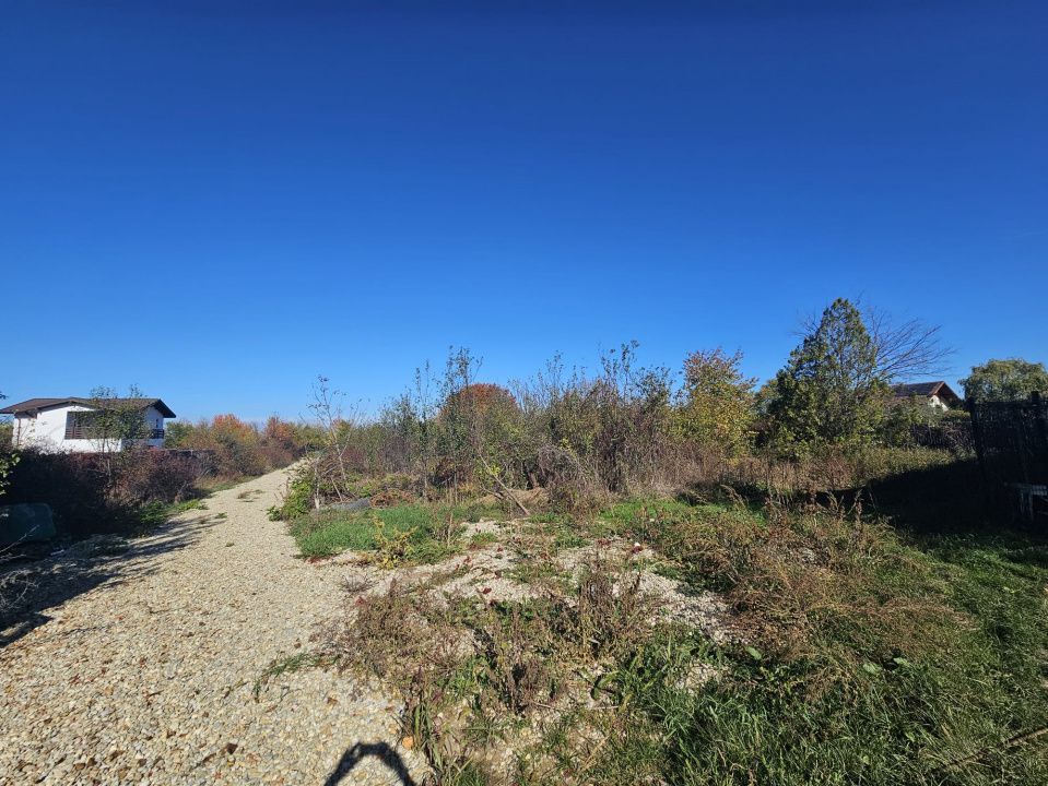 Lot de 650mp de vanzare in Vladiceasca, intrare DN1 - Snagov Plaza – fotografia 15 din 16