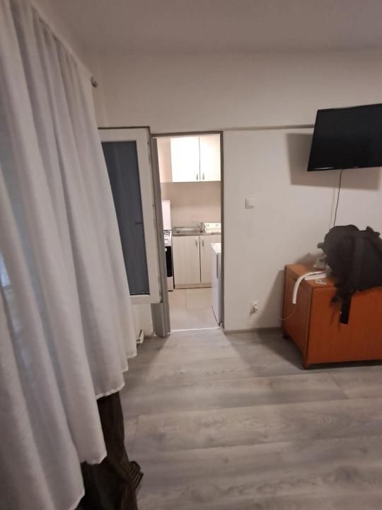 Garsoniera , 22 mp, renovata, mobilata si utilata - Calea Buziasului – fotografia 2 din 6