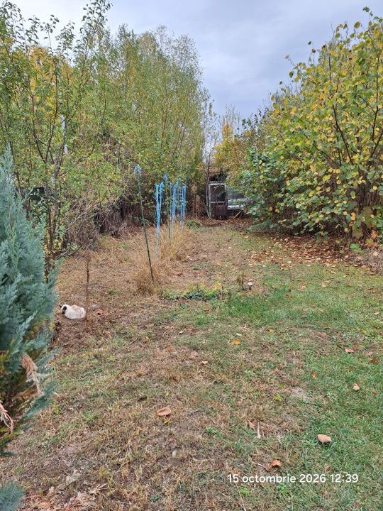 Teren intravilan Tocile, 1.093 mp / livadă, cabană, rulotă și o toamna frumoasă! – fotografia 5 din 37