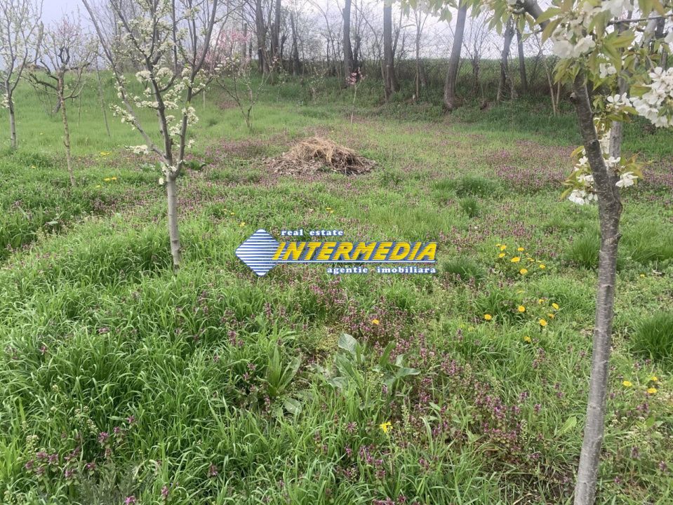OCAZIE ! Teren intravilan 300 mp. 450 mp. si 500 mp. Vanzare Barabant Alba Iulia pentru cabana – fotografia 1 din 5