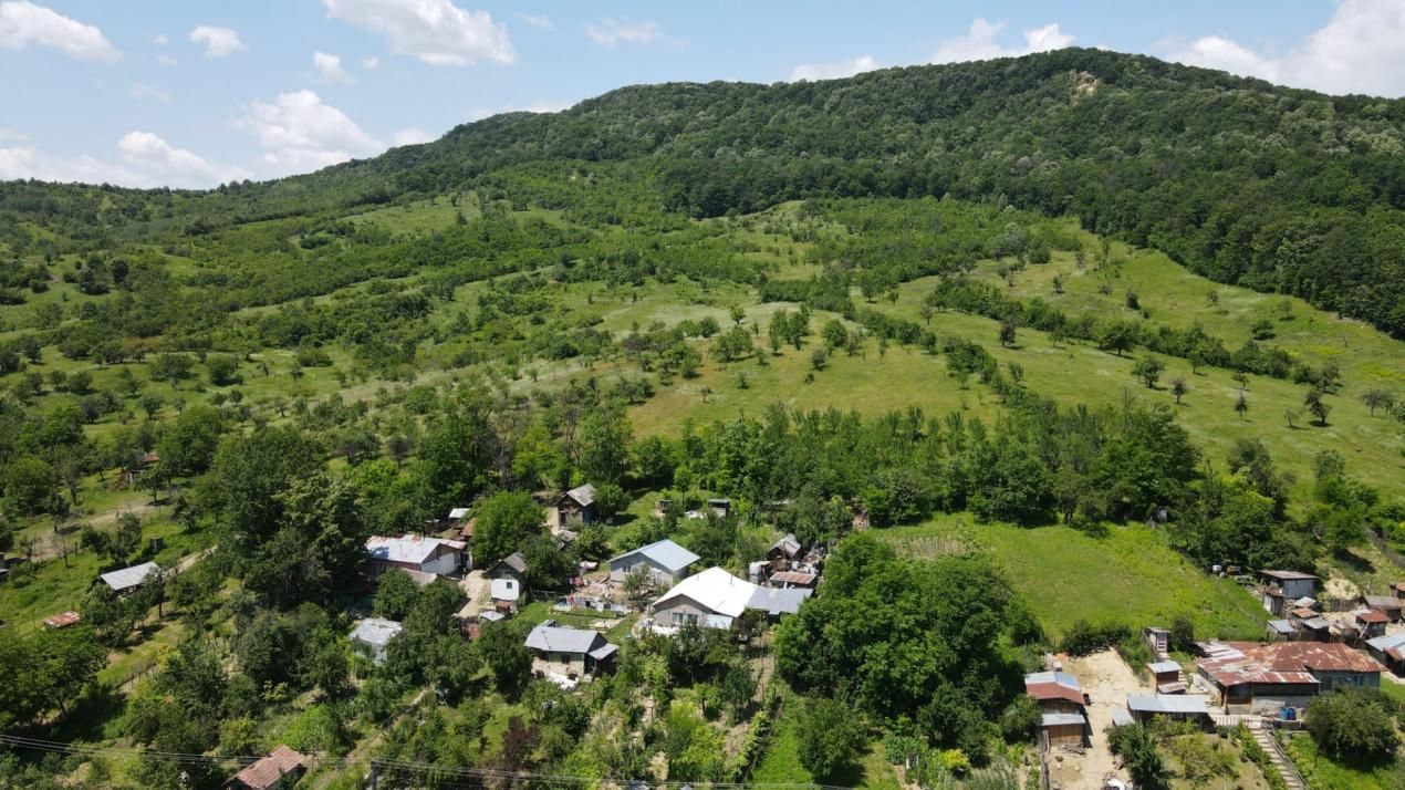 Teren spectaculos cu padure, livada si priveliste panoramica in Soimari PH – fotografia 5 din 16