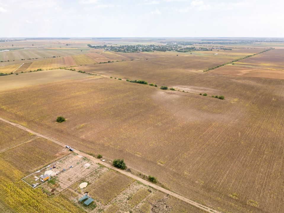 DASCALU – TEREN INTRAVILAN 11300 MP, INVESTITIE! – fotografia 5 din 18