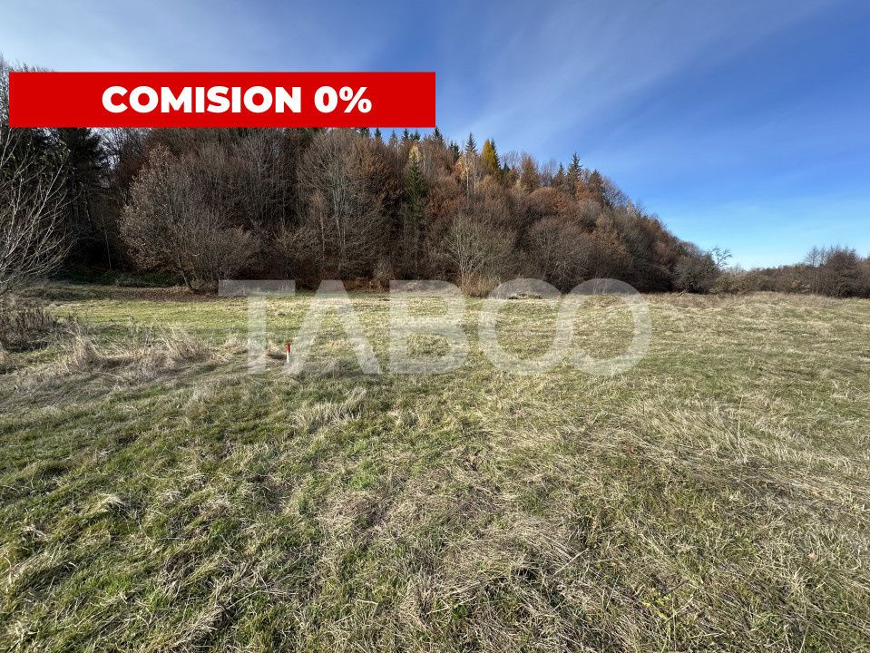 COMISION 0% Teren extravilan 1630 mp langa Rau pe Valea Sebesului – fotografia 1 din 3