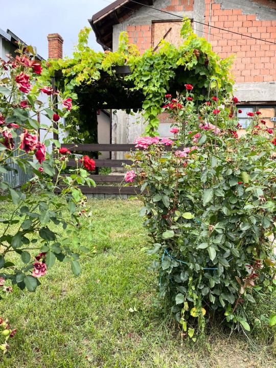 Casa la rosu - 25 km pana in Bucuresti - living 36mp – fotografia 9 din 12