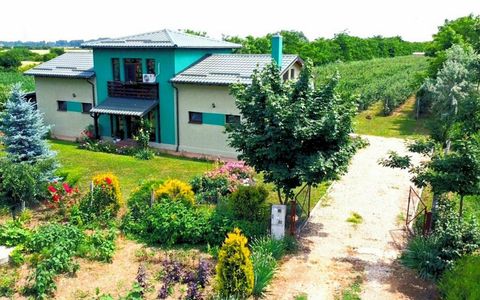 Vila + Afacere 15.000mp Clinceni
